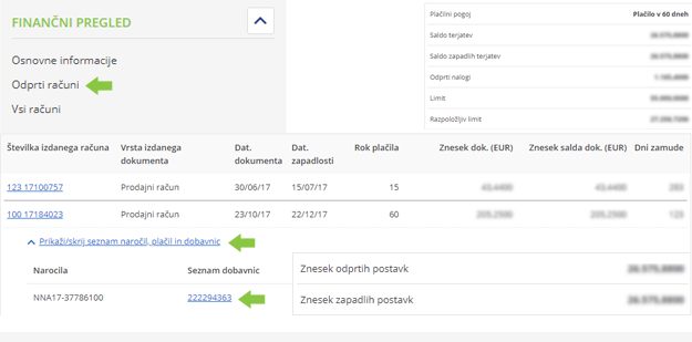 Finančni pregled
